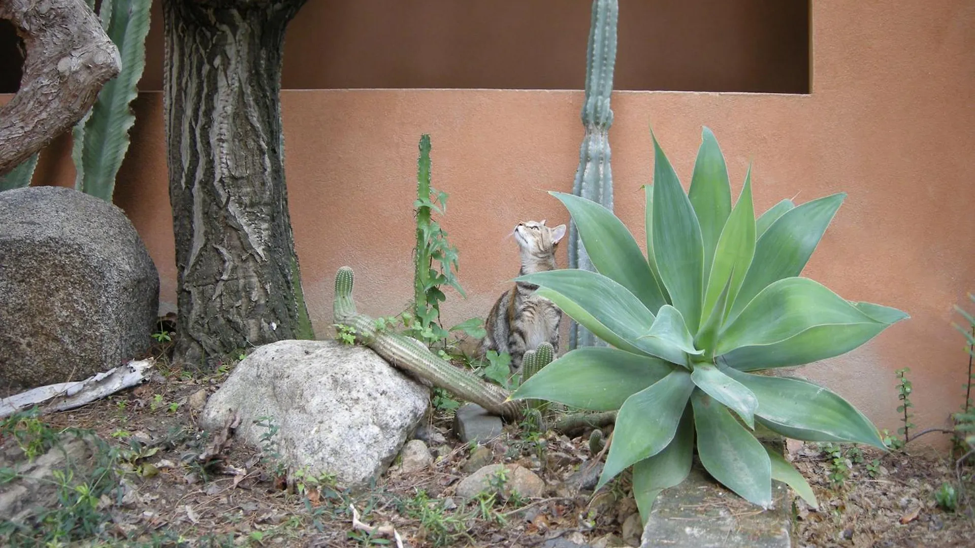Bed & Breakfast Bed and Breakfast via dei gerani Solanas
